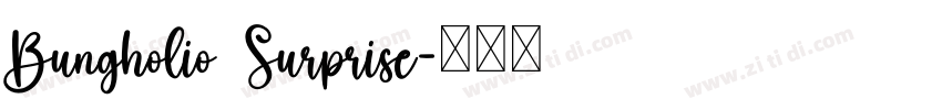 Bungholio Surprise字体转换